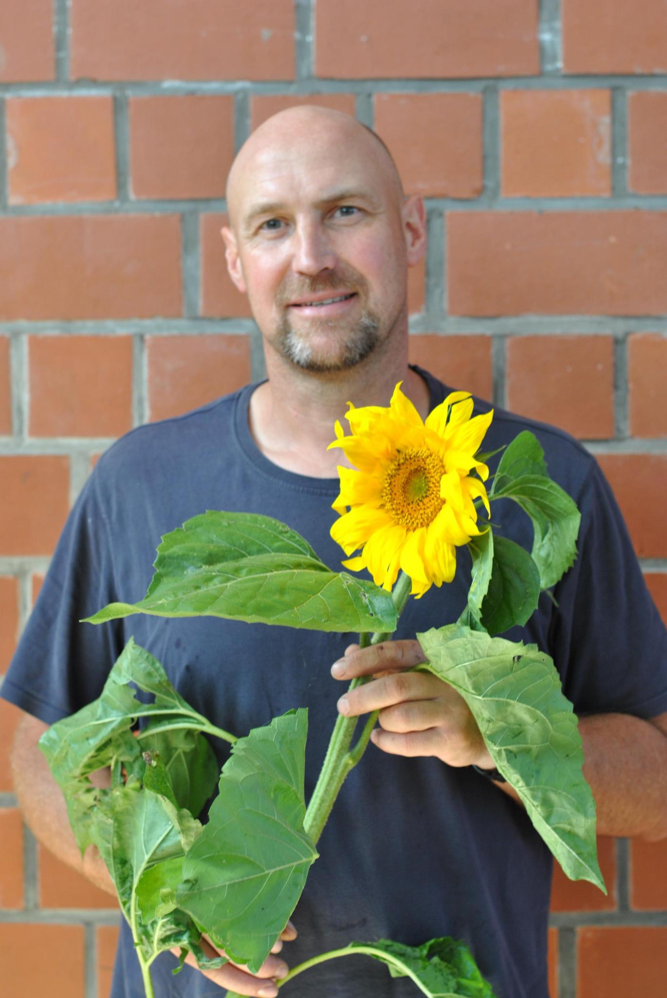 Hausmeister
